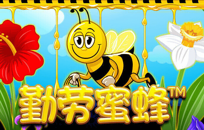 利奥国际app